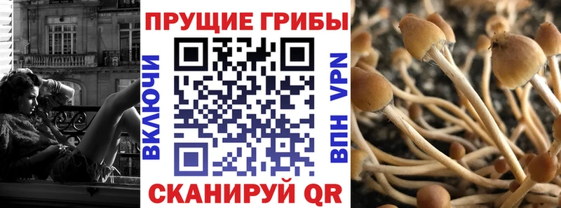 Галлюциногенные грибы Cubensis  Малоархангельск 